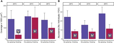 Grazing and Recovery of Kelp Gametophytes Under Ocean Warming